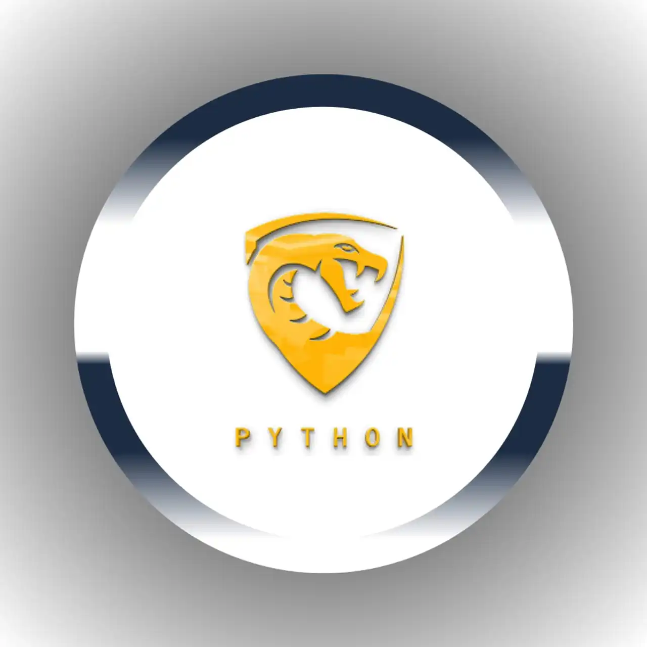 Python